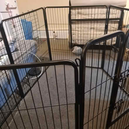 Photo of free Lords & Labradors Pen READ FULLY (TW7) #4
