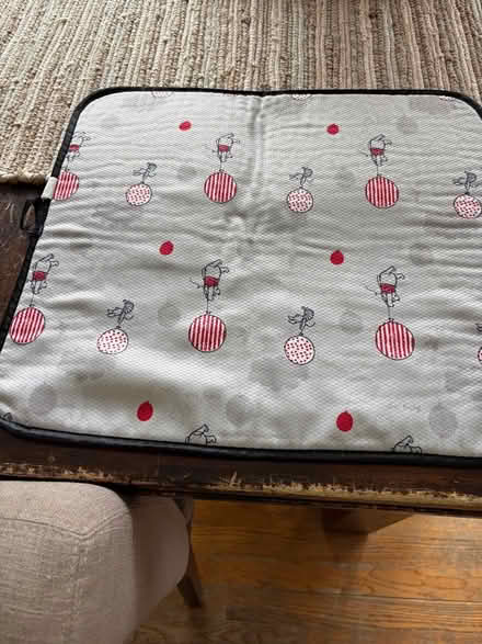 Photo of free Small drying pad (Kanata Lakes) #1