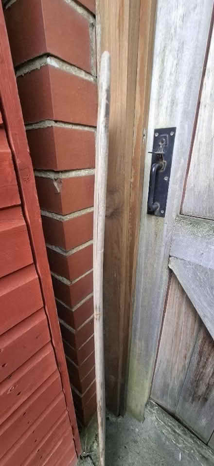 Photo of free Body boards, old (marine ply) (Harrogate HG1) #3