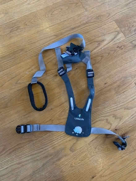 Photo of free Toddler reigns (little life) (Whittlesford CB22) #1
