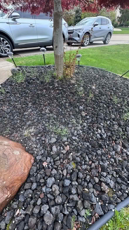 Photo of free Rocks (48188) #1