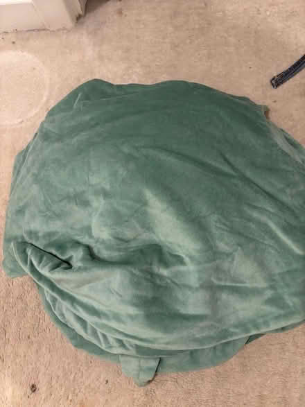 Photo of free Turtle shell, dress up /cushion (Gracemount EH16) #2