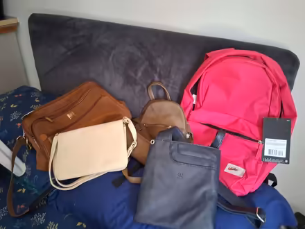 Photo of free Ladies bags (Watton IP25) #1