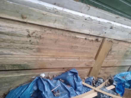 Photo of free 7 Solid Wood Doors (damaged) (Cippenham SL1) #2