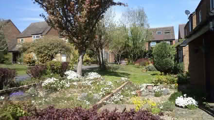 Photo of free Garden Rocks (Fords Farm RG31) #1