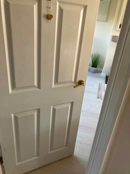 Photo of free brand new door (Saltash) #1