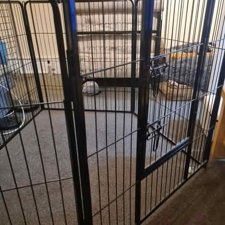 Photo of free Lords & Labradors Pen READ FULLY (TW7) #2