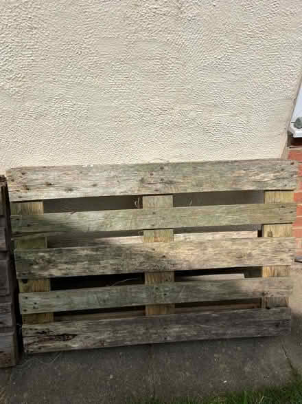 Photo of free Pallets (Clapham MK41) #1