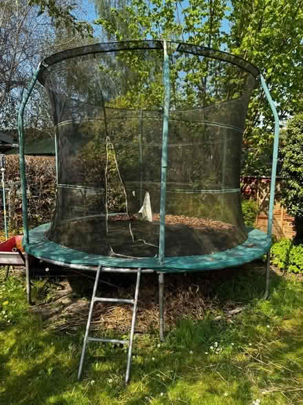 Photo of free Trampoline (Tring HP23) #1