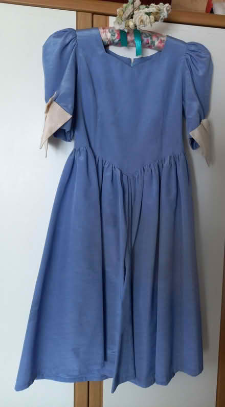 Photo of free BRIDESMAID dresses (Twyford RG10) #2