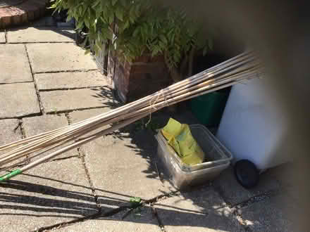 Photo of free Garden canes - mostly 8' long (Alderley Edge SK9) #1