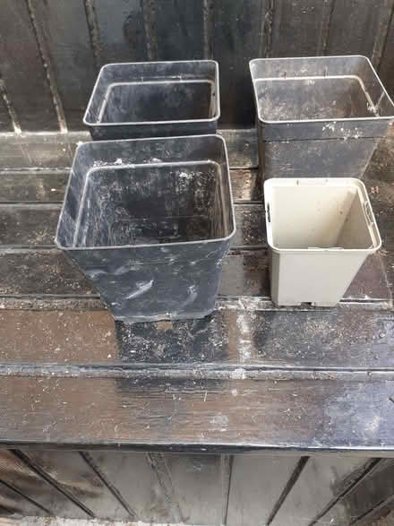 Photo of free 4 square plastic plant pots (Wandsworth Common SW12) #1