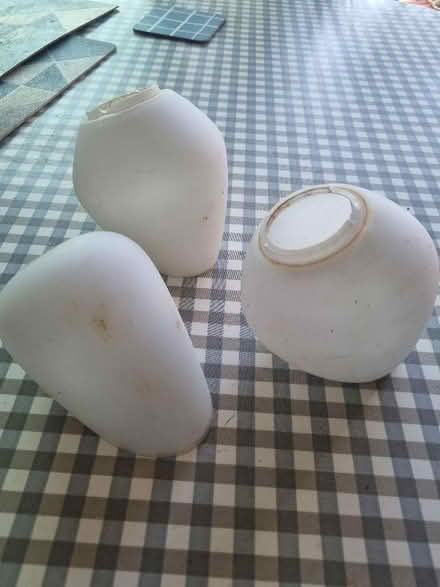 Photo of free Vintage tulip lampshades (New Hinksey OX1) #3