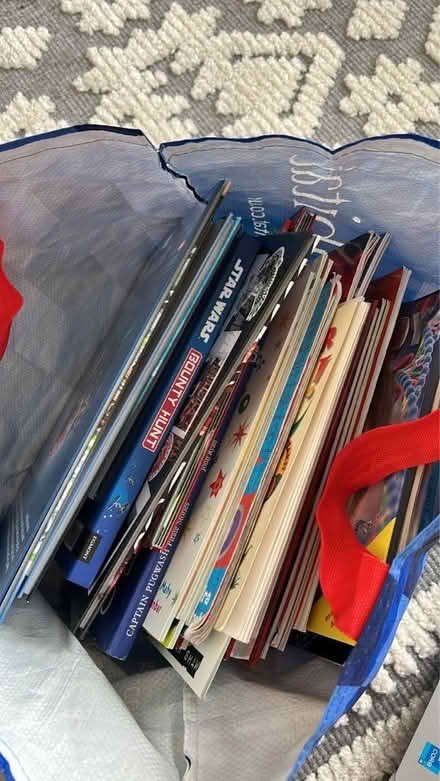 Photo of free bag of boys books (Greetland HX4) #1
