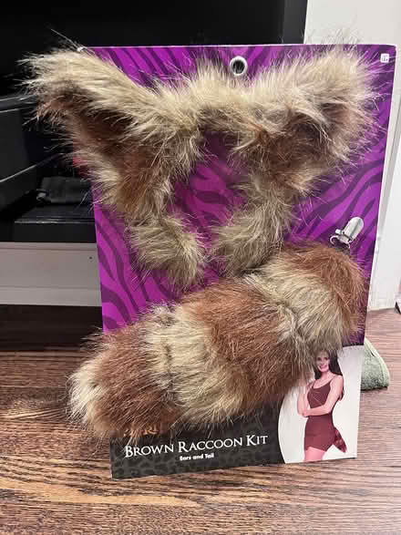 Photo of free Raccoon? Rat? Ears and Tail Costume (Fairlawn/Anacostia) #1