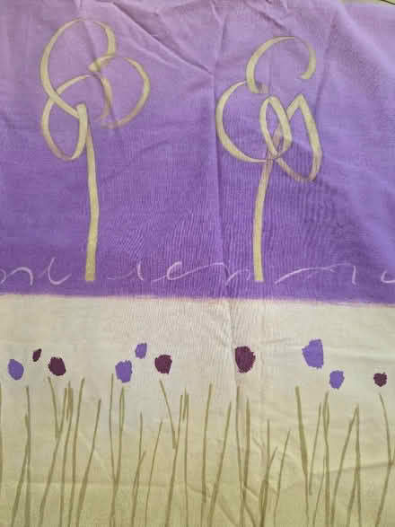 Photo of free 2 single duvet covers (Maidstone town center) #2