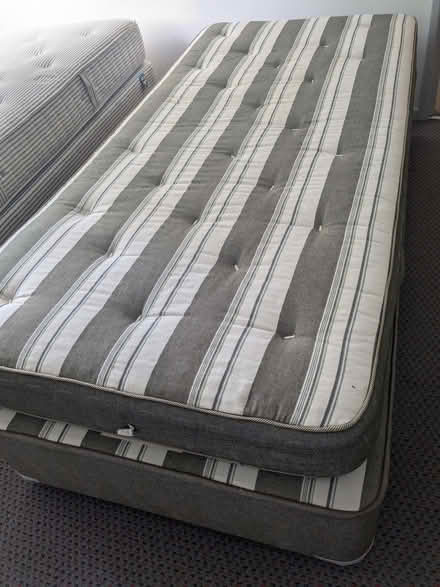Photo of free single bed (Linslade LU7) #1