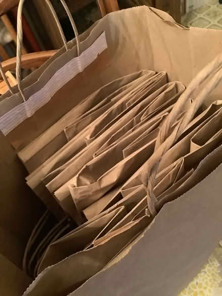 Photo of free 11 large brown Kraft bags (Dovedale Dr & Rosedale Dr) #1