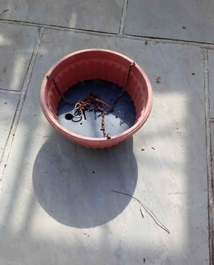 Photo of free Hanging planter (Horsham, near Bennetts Field) #1