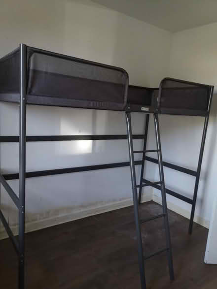 Photo of free Loft bed to go ASAP, DISMANTLED (Newtongrange EH22) #1