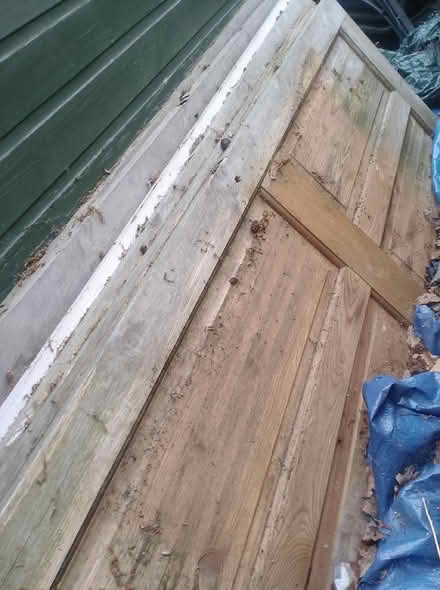 Photo of free 7 Solid Wood Doors (damaged) (Cippenham SL1) #1