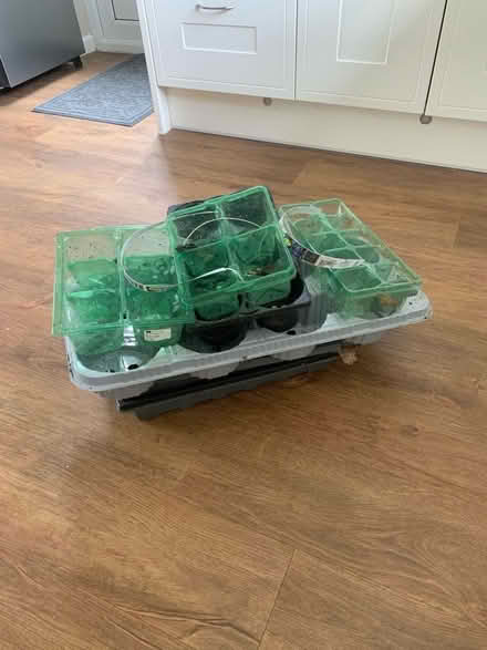 Photo of free Various seed trays (Malvern WR14) #1