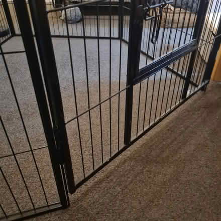 Photo of free Lords & Labradors Pen READ FULLY (TW7) #3