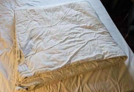 Photo of free Bedding (Frenchay BS16) #2