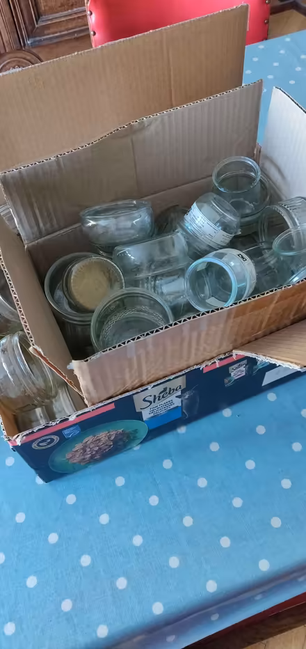 Photo of free Glass desert jars (Eastbourne BN22) #1