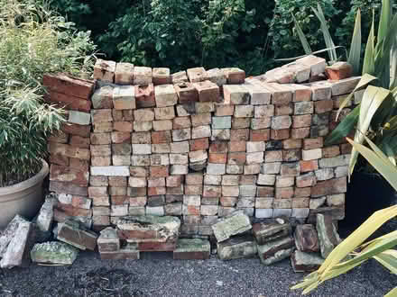 Photo of free Second hand bricks (Filsham Road TN38) #1