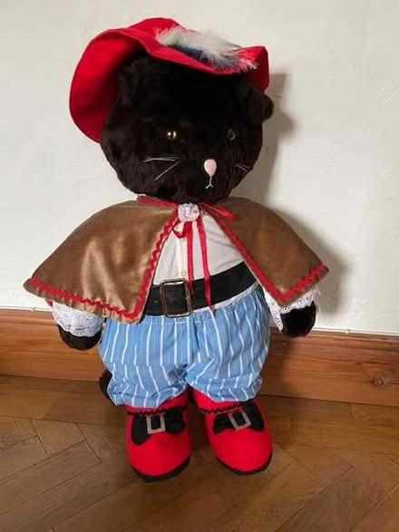 Photo of free Large soft cat (Tideswell SK17) #3