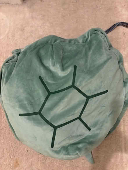 Photo of free Turtle shell, dress up /cushion (Gracemount EH16) #1