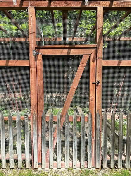 Photo of free raised bed garden cage (Toluca Lake) #3