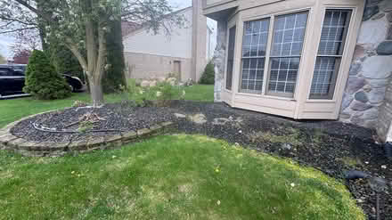 Photo of free Rocks (48188) #2