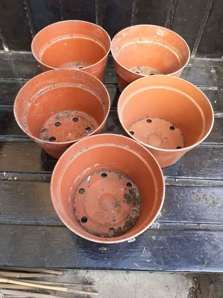 Photo of free 5 plastic plant pots (Wandsworth Common SW12) #1