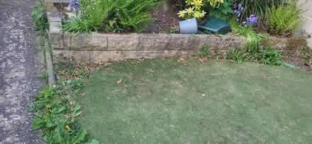 Photo of Garden wall bricks for lawn edging (Higher Croft BB2) #1
