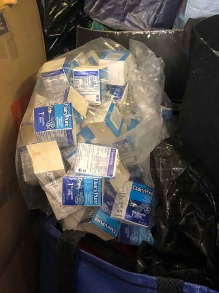 Photo of free Tiny milk cartons (East Watertown) #1