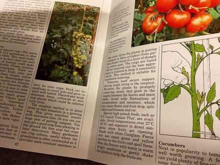 Photo of free book on Greenhouse gardening (AB15) #2