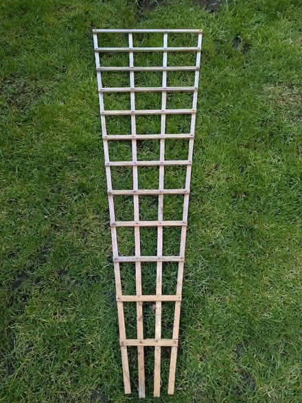 Photo of free Fan trellis (BN43) #1