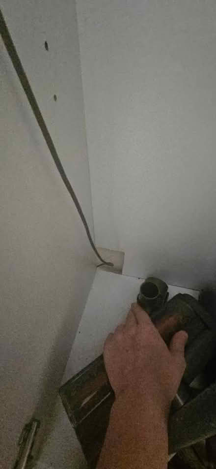 Photo of free Cupboard (Leytonstone E11) #4