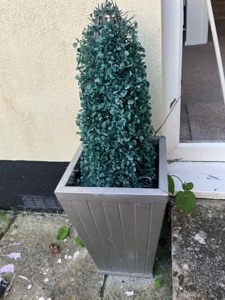 Photo of free Fake plants (brixham devon) #1