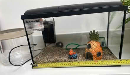 Photo of free Fish tank, fish bowl, pump and gravel (Spital CH62) #3