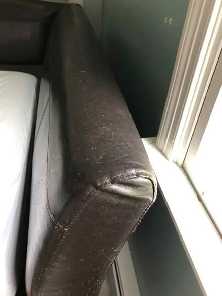 Photo of free Trundle bed (Berlin, MA (Solomon Pond Mall)) #3