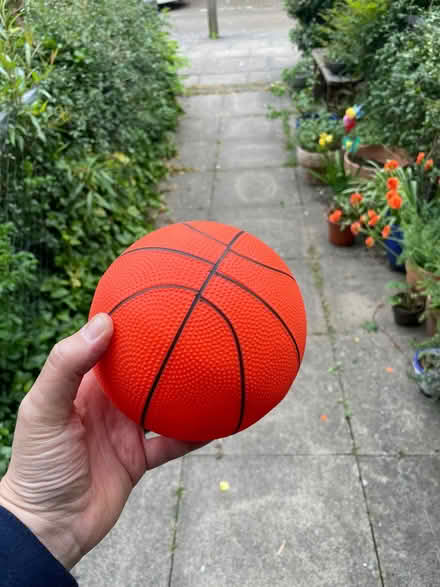 Photo of free Tiny plastic toy basketball (Hackbridge SM6) #1