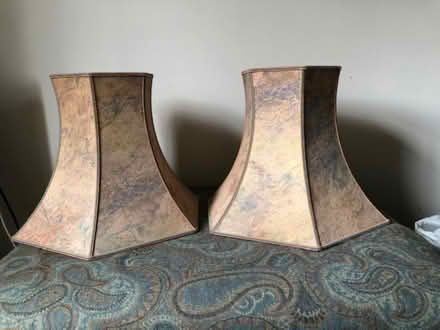 Photo of free Lampshades (Datchet SL3) #1
