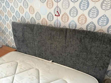 Photo of free Queen size bed (Lingley Green WA5) #3