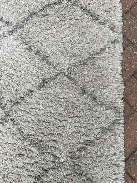 Photo of free Contemporary style rug (Golden Green TN11) #3
