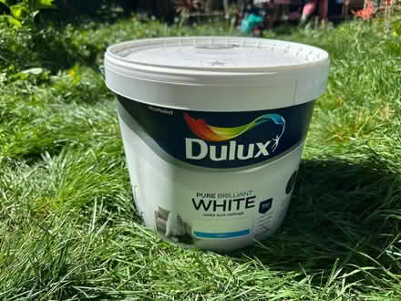 Photo of free 10 Ltr white paint (South Woodford, E18) #1