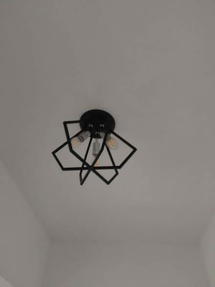Photo of free Black Ceiling Light (K2A 0G7) #2