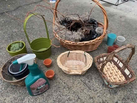 Photo of free planting, floral (west Roswell) #1